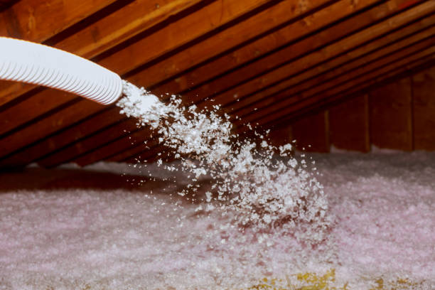 Insulation Inspection Services in Coplay, PA