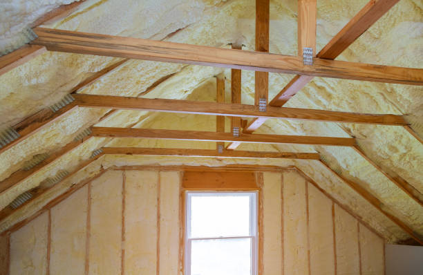 Best Home Insulation Services  in Coplay, PA