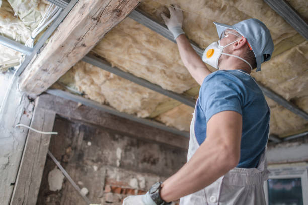Best Residential Insulation Services  in Coplay, PA
