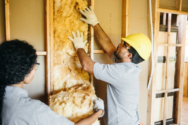 Best Energy-efficient Insulation  in Coplay, PA