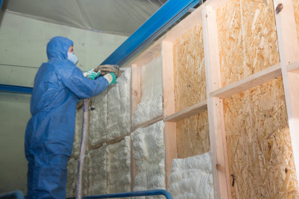 Best Insulation Replacement Services  in Coplay, PA