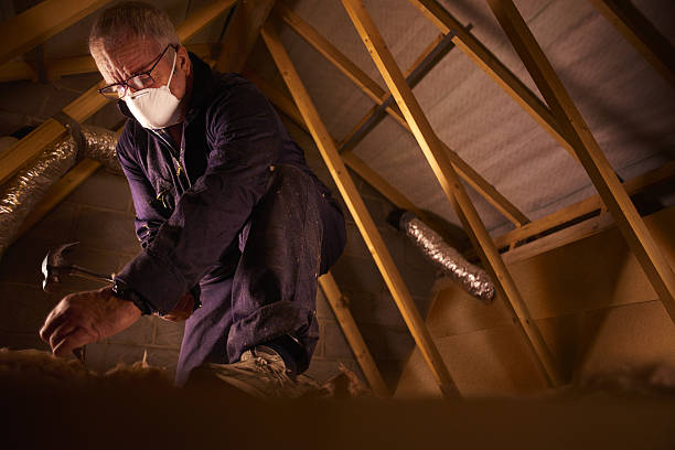 Best Local Insulation Services  in Coplay, PA